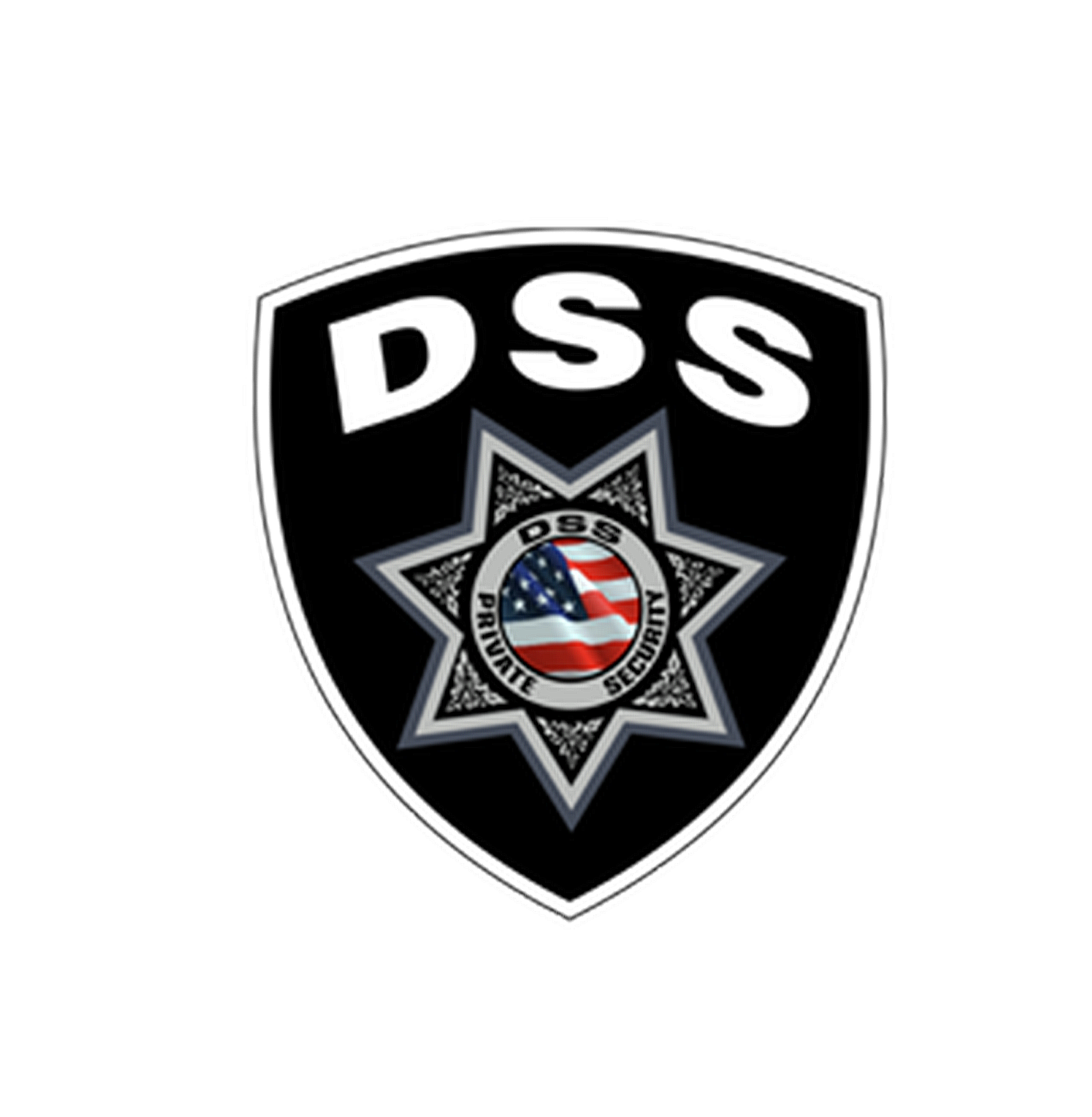 DSS logo