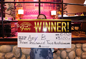 Amy B. solve the mystery giveaway winner