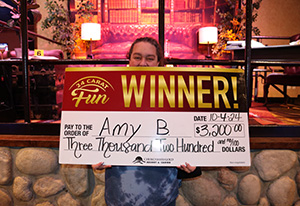 Amy B. Solve the mystery giveaway winner