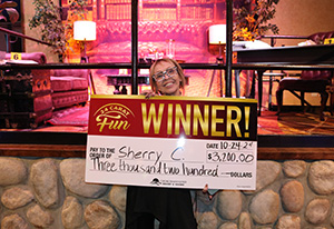 Sherry C. Solve the Mystery giveaway Winner