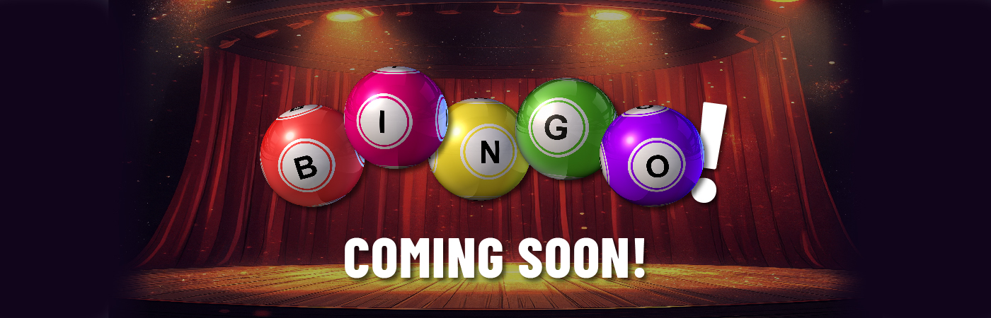 Bingo Teaser Website promo