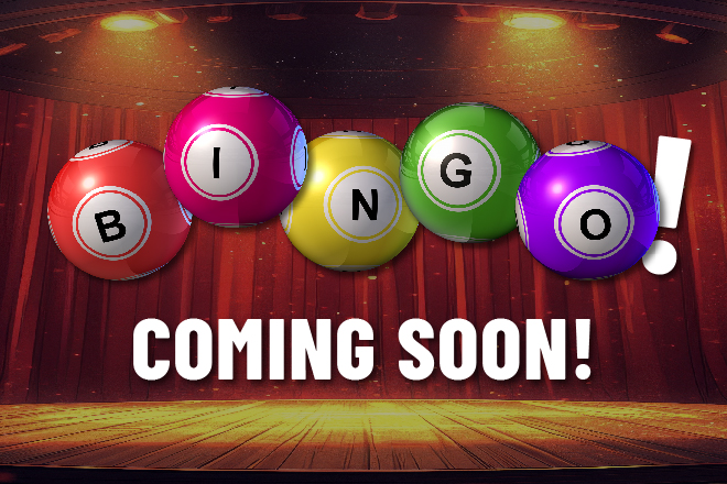 Bingo Teaser Website promo