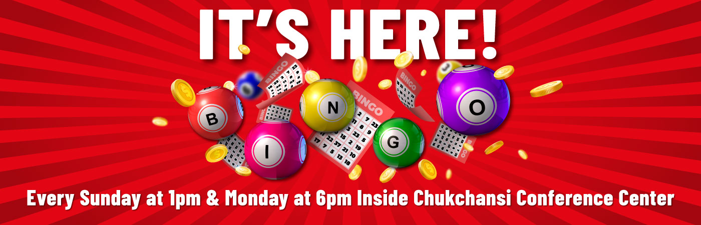 BINGO After First Day Digital