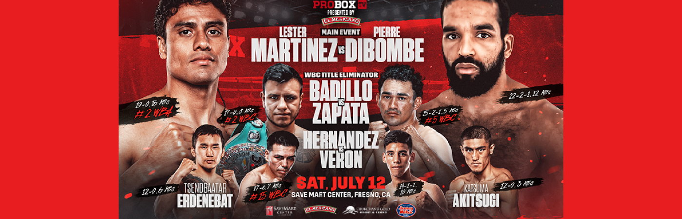 Pro Box Fight