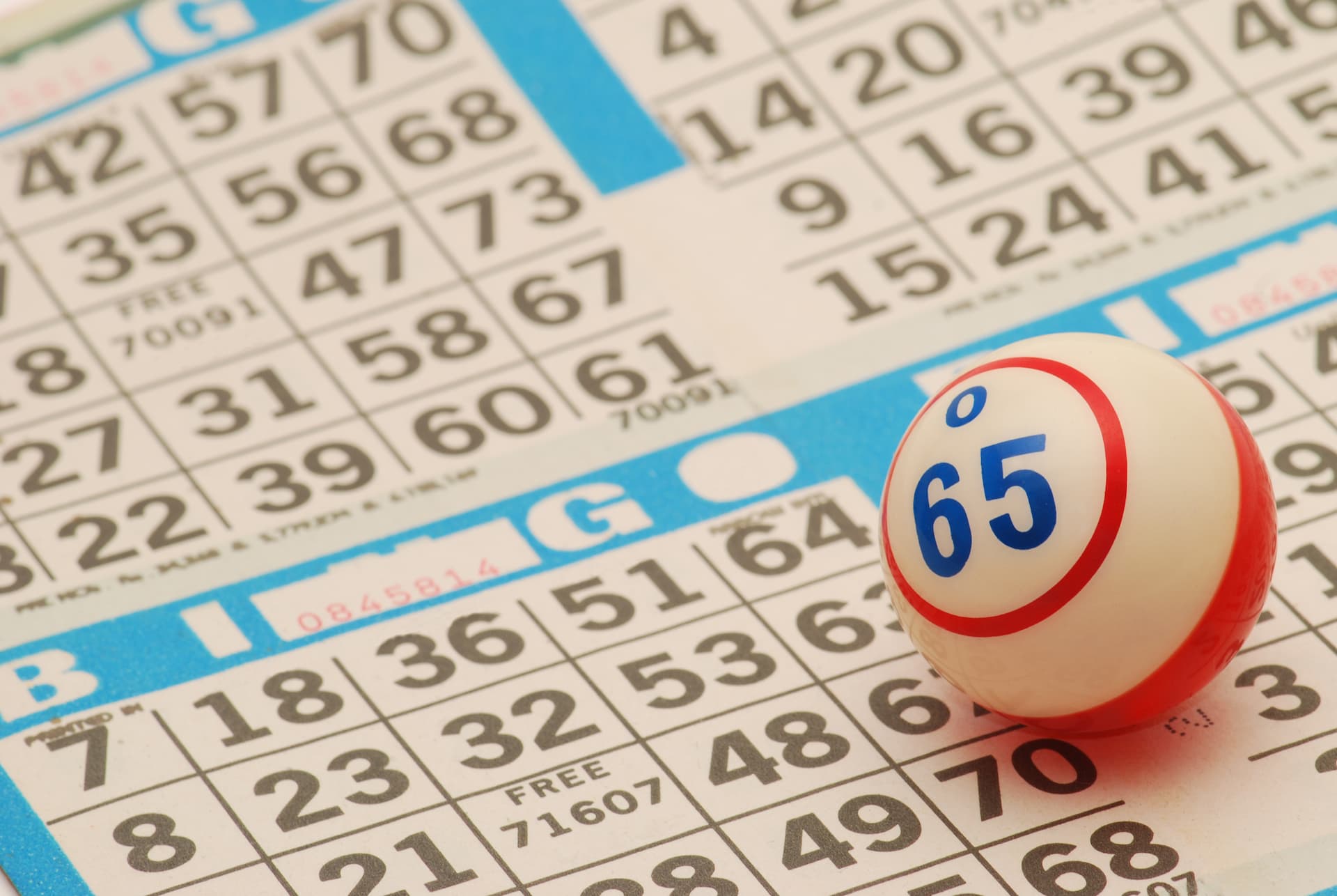 Bingo