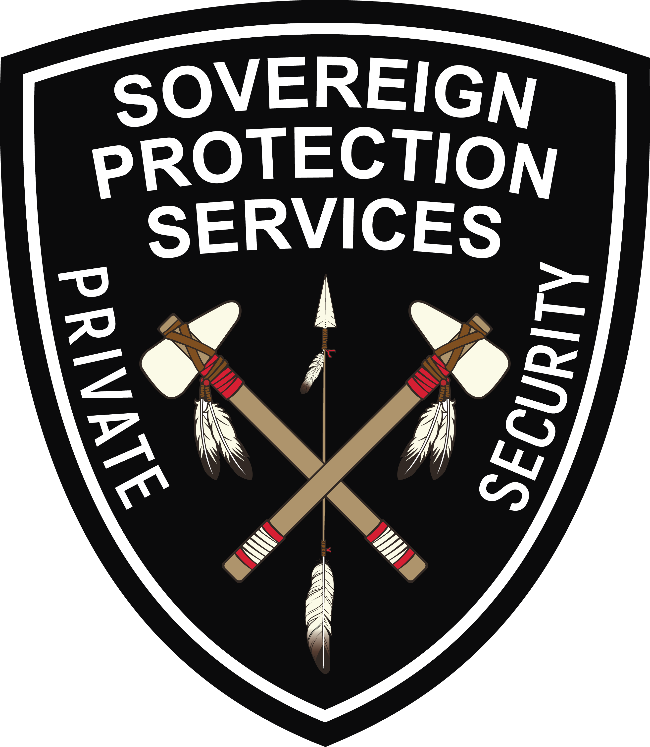 DSS 2025 new logo