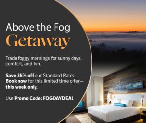 Above the Fog Getaway