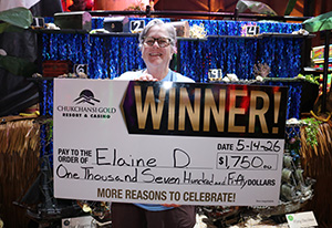 Elaine D. Treasure Trove Giveaway Winner