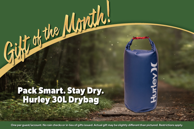 Gift of the Month!