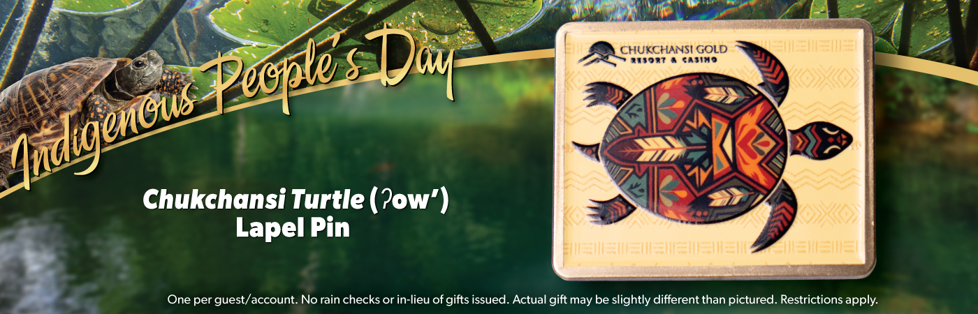 Indigenous People's Day Gift Lapel Pin Turtle