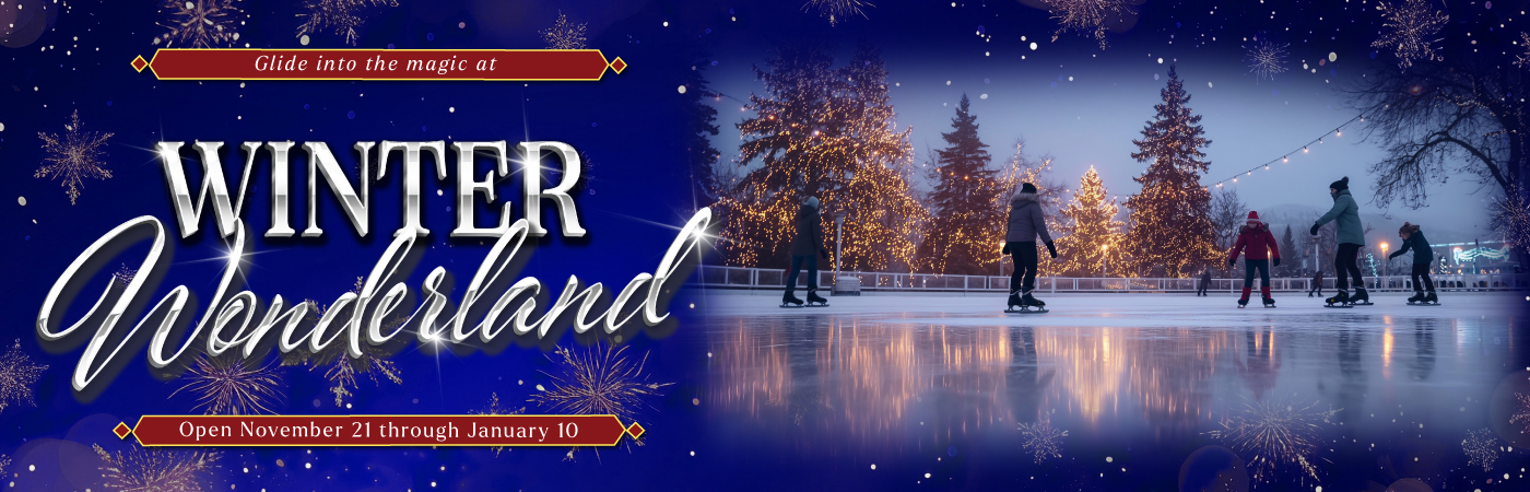 Winter in Wonderland 2026 Ice Rink